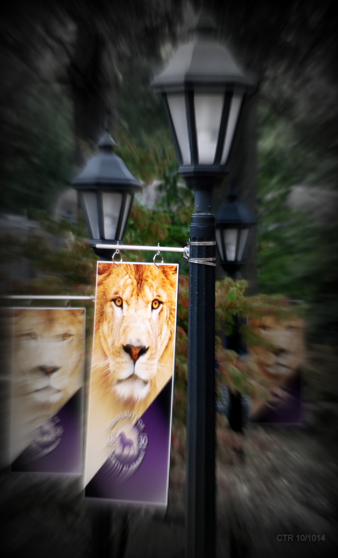 Interdisciplinary Studies Areas of Emphasis