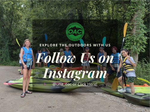 oac-follow-us-on-instagram.png